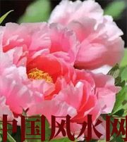 文山预示你财运上升，姻缘可成的梦境，快来看看吧！