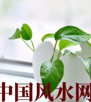 文山家中摆放六种吉祥物，会打开您的财运大门！