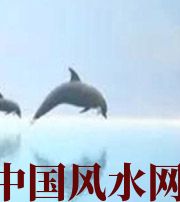 文山做梦梦到这些，是要富裕的征兆！